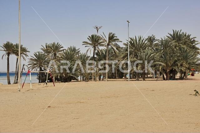شاطئ البحر الأحمر، المملكة العربية السعودية