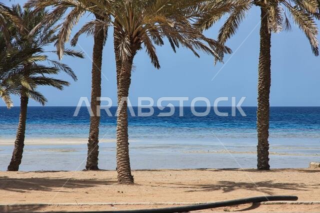 The beach of Red sea, Saudi arabia