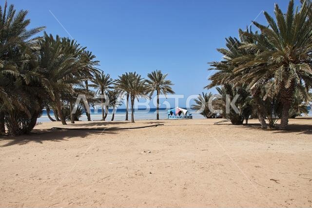 The beach of Red sea, Saudi arabia