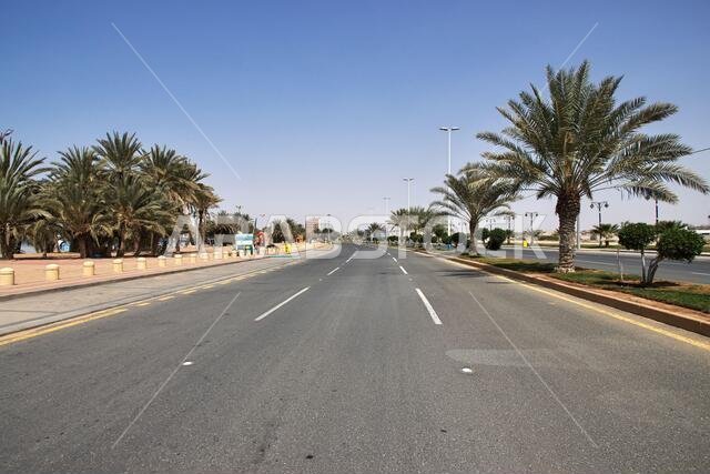 الطريق على ساحل البحر الأحمر، المملكة العربية السعودية