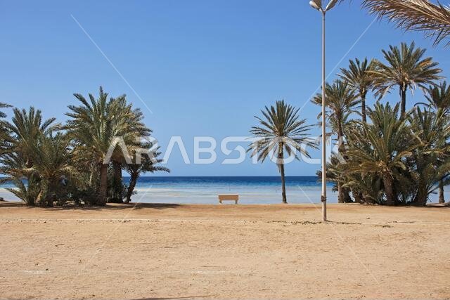 شاطئ البحر الأحمر، المملكة العربية السعودية