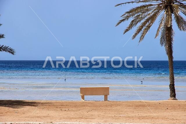شاطئ البحر الأحمر، المملكة العربية السعودية