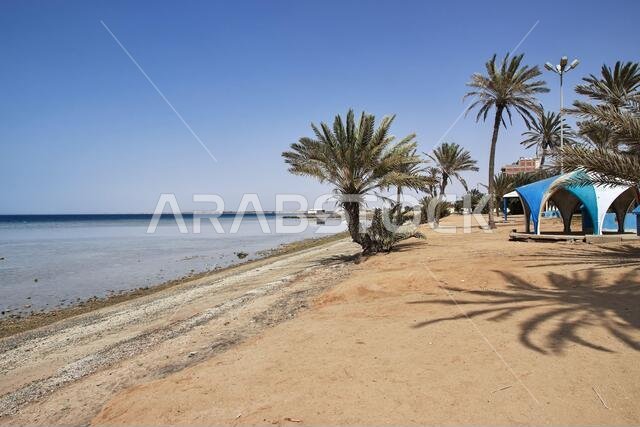 شاطئ البحر الأحمر، المملكة العربية السعودية
