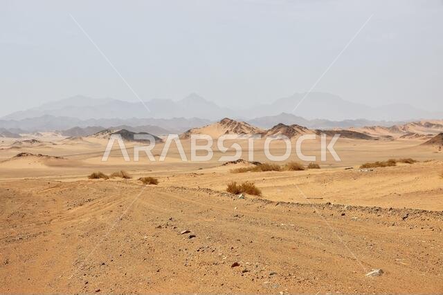 كثبان رملية في الصحراء، المملكة العربية السعودية