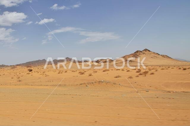 Sand dunes in the desert, Saudi Arabia