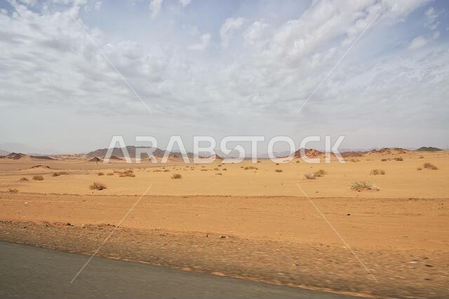 Sand dunes in the desert, Saudi Arabia
