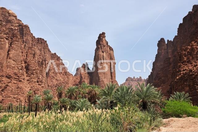وادي الديسة، وادي الشق، المملكة العربية السعودية