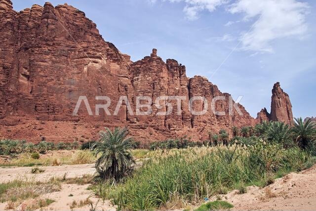وادي الديسة، وادي الشق، المملكة العربية السعودية