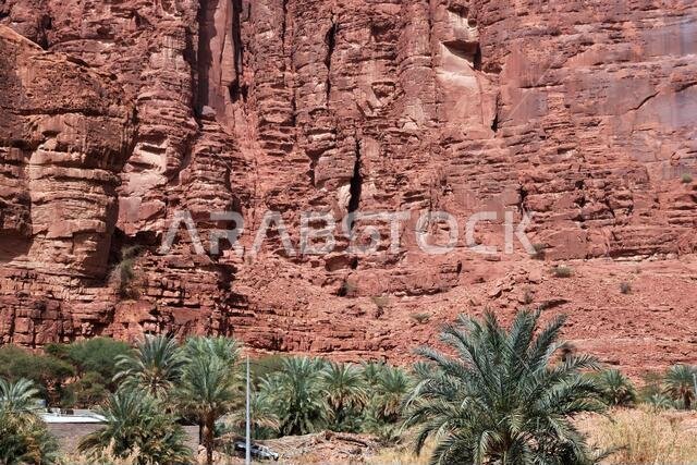 وادي الديسة، وادي الشق، المملكة العربية السعودية