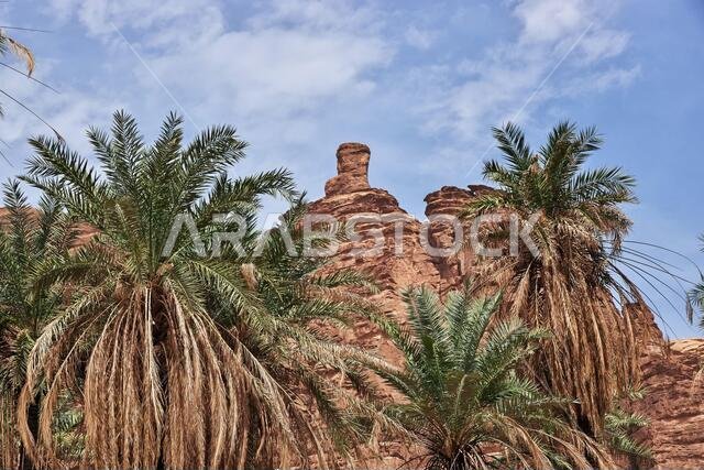 Wadi Disah, Al Shaq canyon, Saudi Arabia