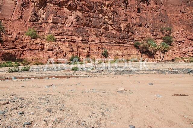 وادي الديسة، وادي الشق، المملكة العربية السعودية