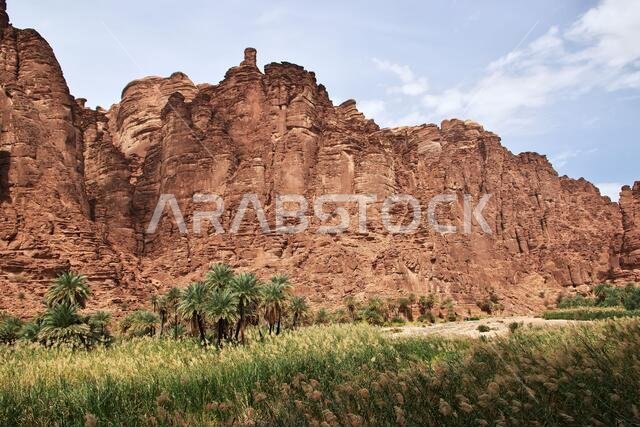 وادي الديسة، وادي الشق، المملكة العربية السعودية