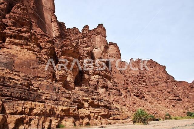 وادي الديسة، وادي الشق، المملكة العربية السعودية