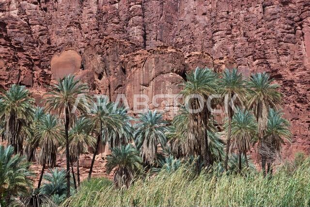 Wadi Disah, Al Shaq canyon, Saudi Arabia