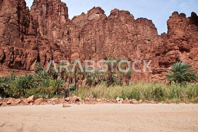 وادي الديسة، وادي الشق، المملكة العربية السعودية