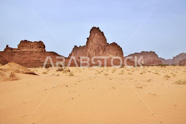 وادي الديسة، وادي الشق، المملكة العربية السعودية