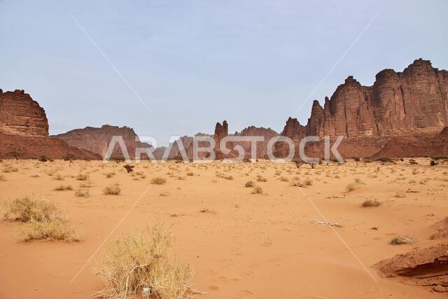 وادي الديسة، وادي الشق، المملكة العربية السعودية