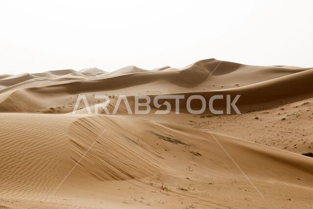 منظر طبيعي خلاب مع كثبان رملية في المملكة العربية السعودية تتناغم مع ضوء الشمس