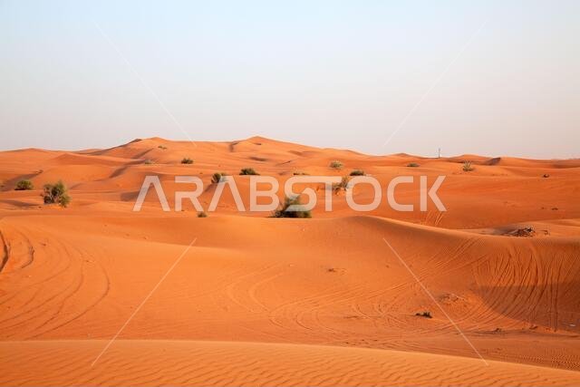 رمال حمراء "صحراء عربية" بالقرب من الرياض، المملكة العربية السعودية رمال حمراء "صحراء عربية" بالقرب من الرياض، المملكة العربية السعودية