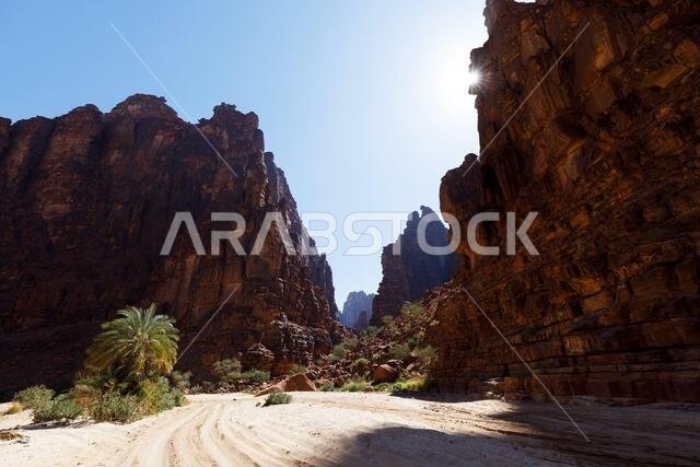 وادي ديسا، المعروف أيضًا باسم وادي قراقر، هو وادٍ يبلغ طوله 15 كيلومترًا ويمر عبر جبل قراقر، وهو كتلة من الحجر الرملي تقع على بعد حوالي 80 كيلومترًا
