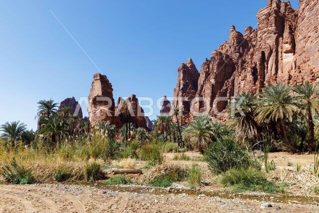 Wadi Disah, also known as Wadi Qaraqir, is a 15 kilometer long canyon running through the Jebel Qaraqir, a sandstone massif lying about 80 kilometers