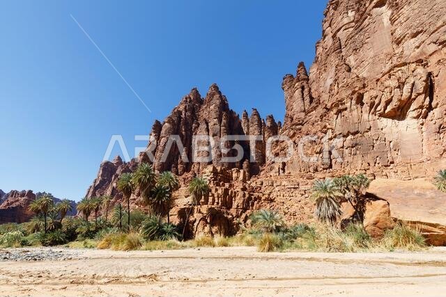 Wadi Disah, also known as Wadi Qaraqir, is a 15 kilometer long canyon running through the Jebel Qaraqir, a sandstone massif lying about 80 kilometers