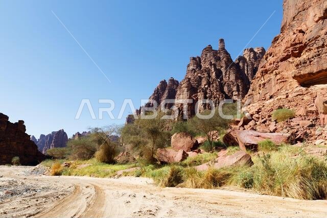 Wadi Disah, also known as Wadi Qaraqir, is a 15 kilometer long canyon running through the Jebel Qaraqir, a sandstone massif lying about 80 kilometers