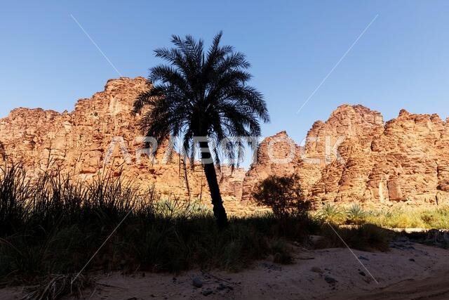 وادي ديسا، المعروف أيضًا باسم وادي قراقر، هو وادٍ يبلغ طوله 15 كيلومترًا ويمر عبر جبل قراقر، وهو كتلة من الحجر الرملي تقع على بعد حوالي 80 كيلومترًا
