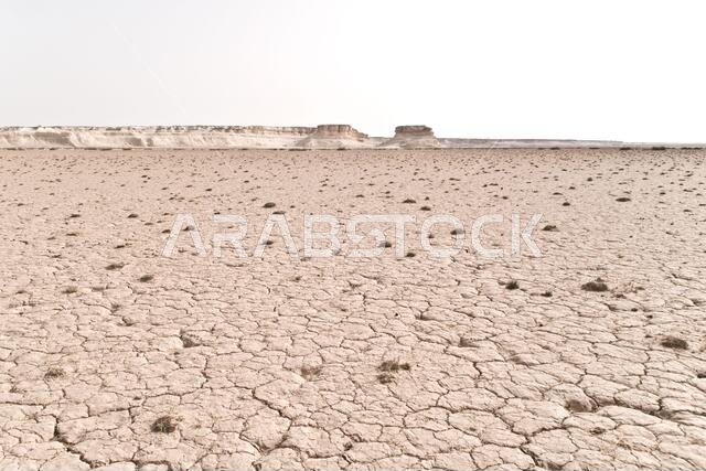 أنماط الطين الجاف والمتشقق في الصحراء الشرقية لمنطقة البادية، وادي دهك، المملكة الأردنية الهاشمية.