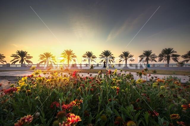 Dramatic sunrise view in Al-Khobar corniche. SaudI Arabia.
