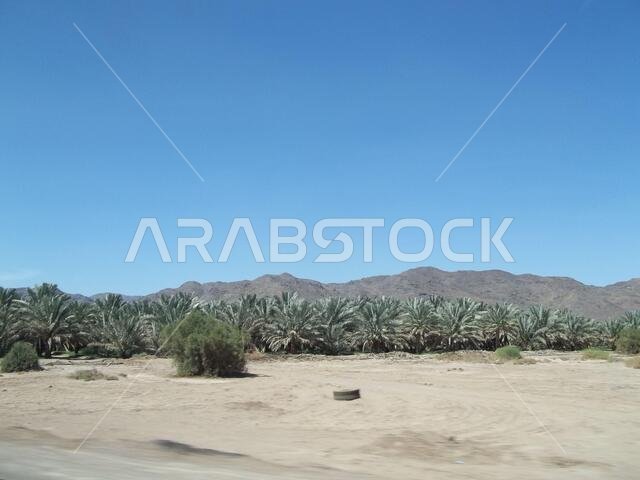 View of Mountain in Desert with Sand Road and Trail in the outback of saudi Arabia or Capetown or Texas