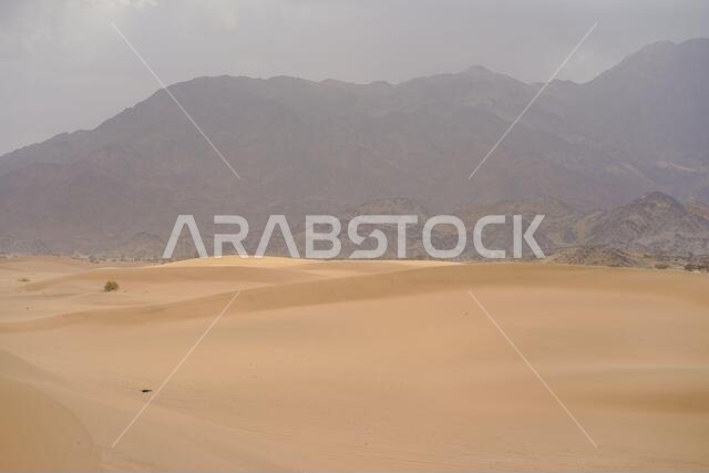 Picturesque scenery of great gritty dunes in endless desert in Saudi Arabia