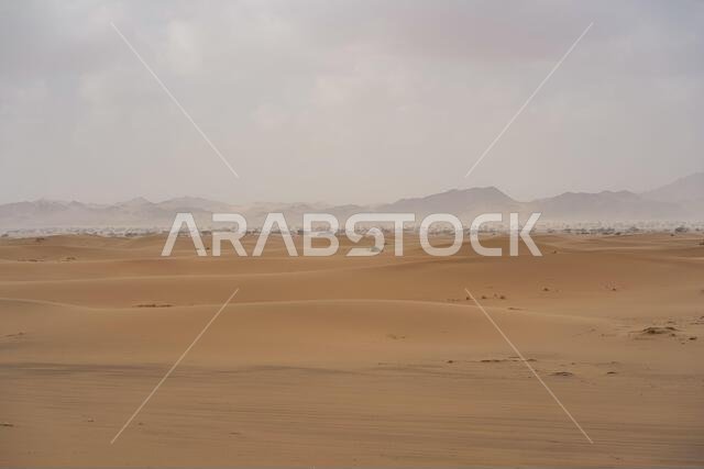 Picturesque scenery of great gritty dunes in endless desert in Saudi Arabia