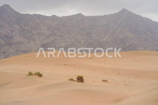 مناظر خلابة لكثبان رملية شاهقة في صحراء مترامية الأطراف في المملكة العربية السعودية
