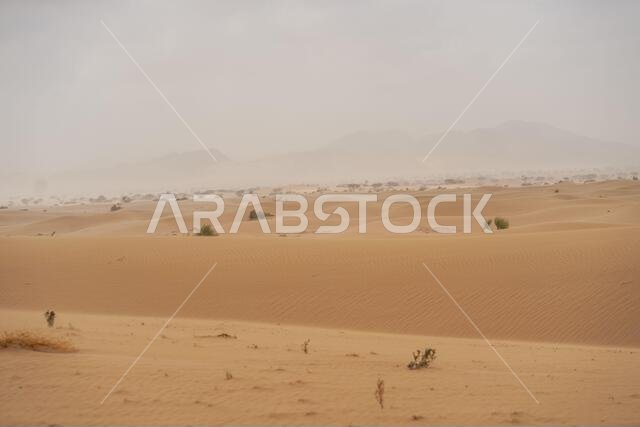 مناظر خلابة لكثبان رملية شاهقة في صحراء مترامية الأطراف في المملكة العربية السعودية مناظر خلابة لكثبان رملية شاهقة في صحراء مترامية الأطراف في المملكة العربية السعودية