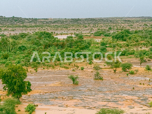 صورة للحقول والأراضي الزراعية الخضراء ، أشجار ومحاصيل زراعية في السعودية ، الطبيعة في السعودية ، خلفية للطبيعة