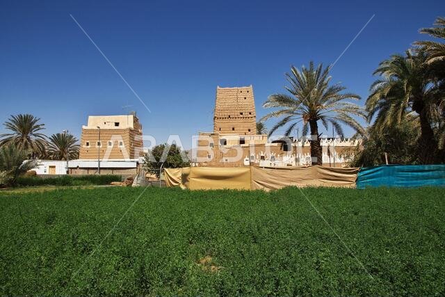 الحديقة في قرية عربية بالقرب من نجران، منطقة عسير، المملكة العربية السعودية