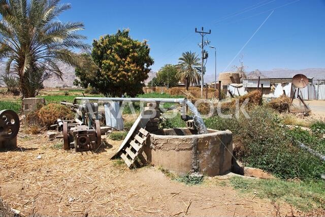 الحديقة في قرية عربية بالقرب من نجران، منطقة عسير، المملكة العربية السعودية