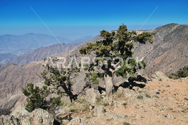 The canyon of Asir region, the view from the viewpoint, Saudi Arabia