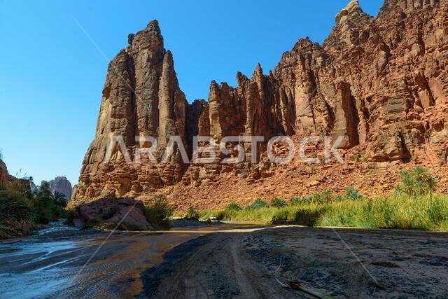 Wadi Disah. Tabuk Region, Saudi Arabia.