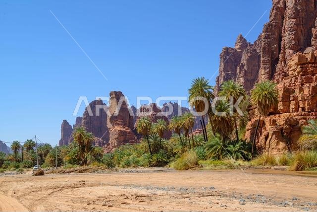 Wadi Disah. Tabuk Region, Saudi Arabia.