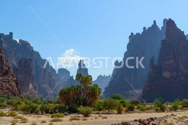 Wadi Disah. Tabuk Region, Saudi Arabia.