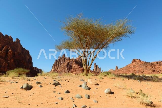 Wadi Disah. Tabuk Region, Saudi Arabia.