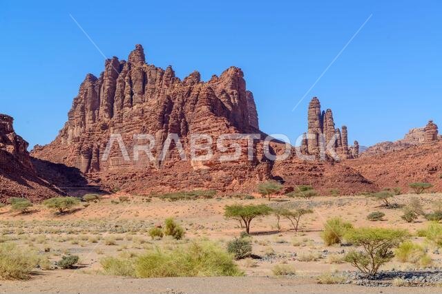 وادي الديسة. منطقة تبوك، المملكة العربية السعودية.