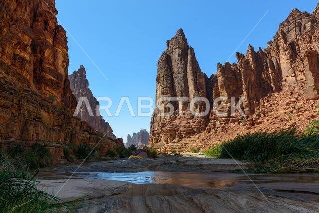 Wadi Disah. Tabuk Region, Saudi Arabia.