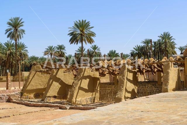 بئر هداج القديمة في تيما