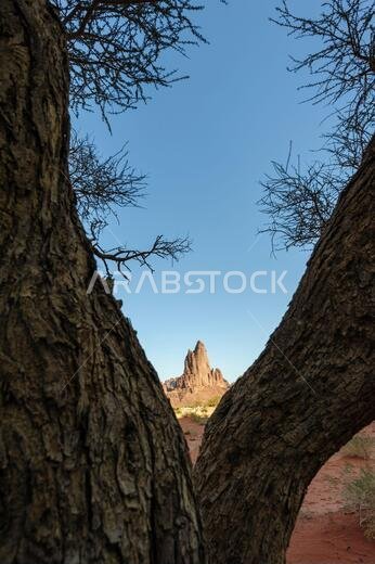 Area around the village Al-Disah, Tabuk Region, Saudi Arabia