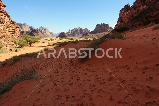 المنطقة المحيطة بقرية الديسة، منطقة تبوك، المملكة العربية السعودية المنطقة المحيطة بقرية الديسة، منطقة تبوك، المملكة العربية السعودية