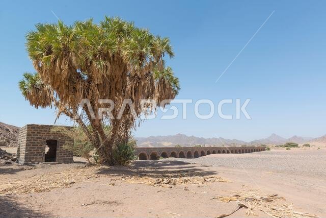 Viaduct of the old Hejaz Railway. Hadiyah, Saudi Arabia.