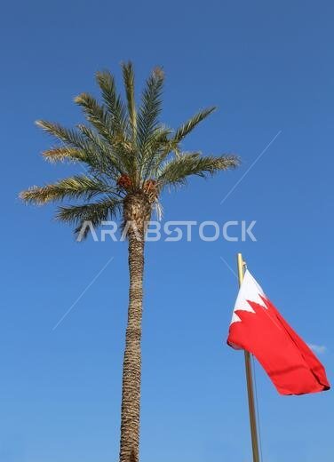 علم البحرين الأحمر والأبيض ونخلة